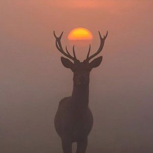 Meet your Posher, Pierre